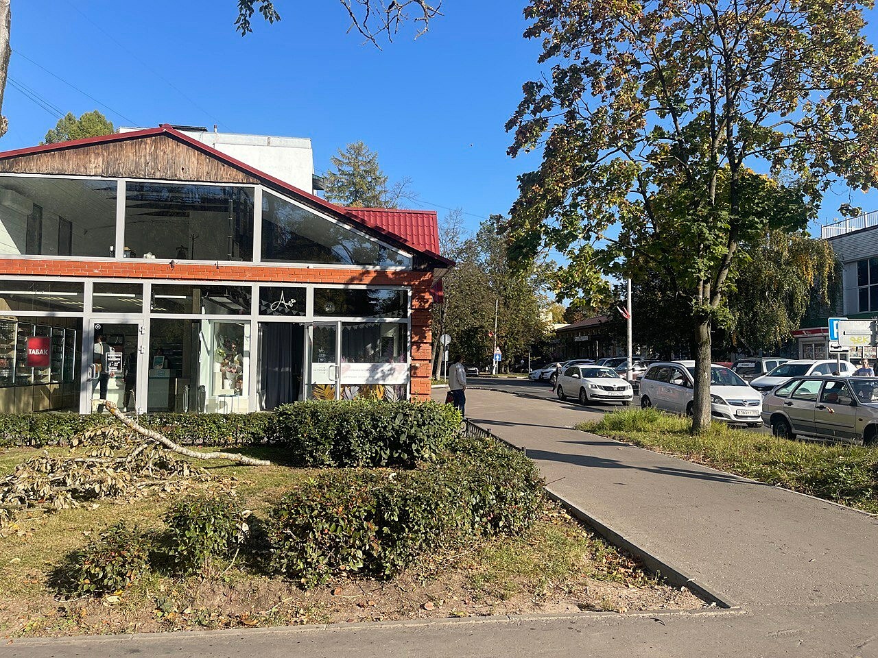 Прогулка по городу — Краснознаменск