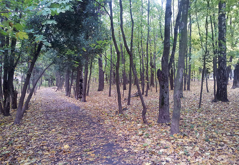 Фото 7443 — Краснознаменск