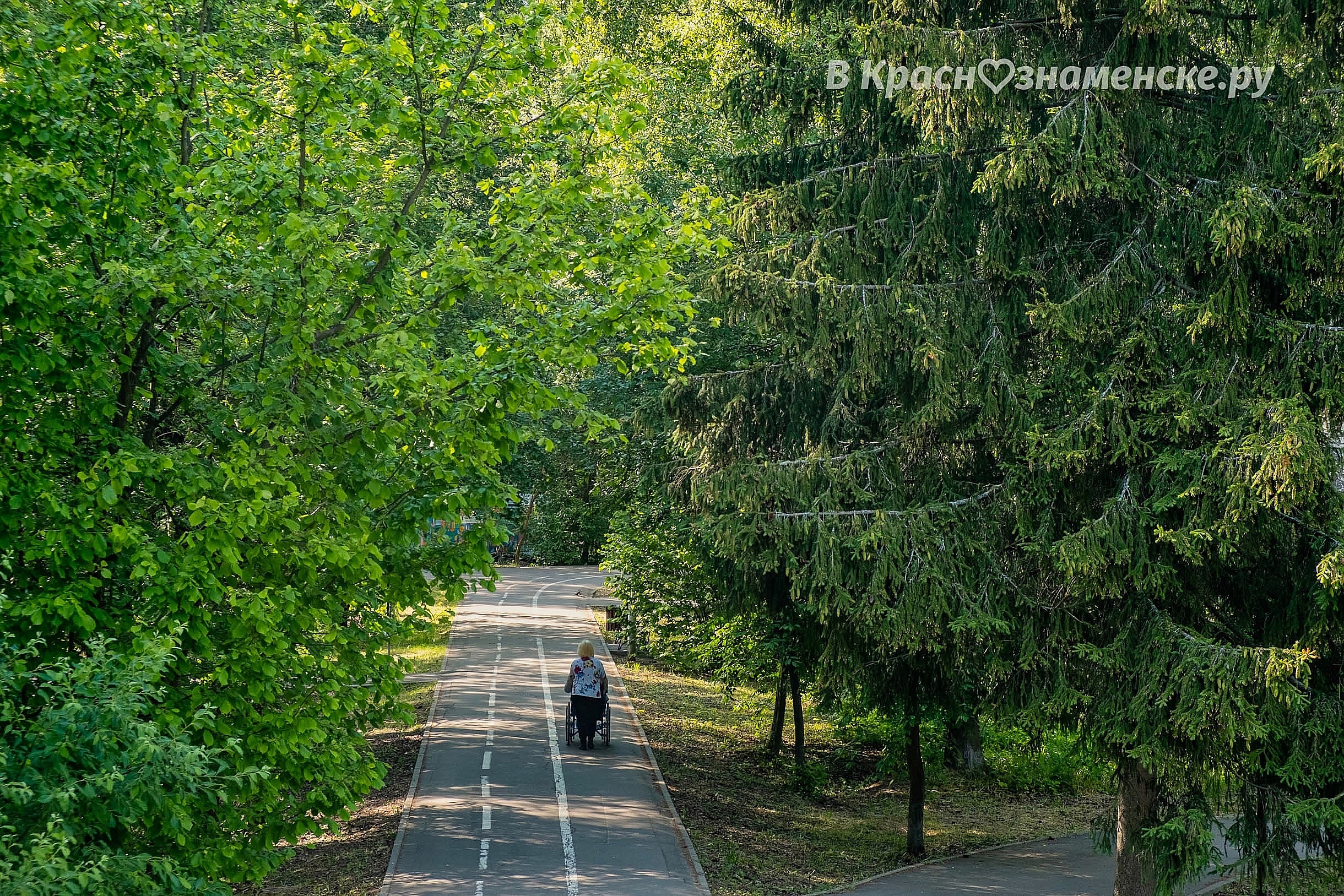 Доброе утро, Краснознаменск! Прекрасного вам дня)