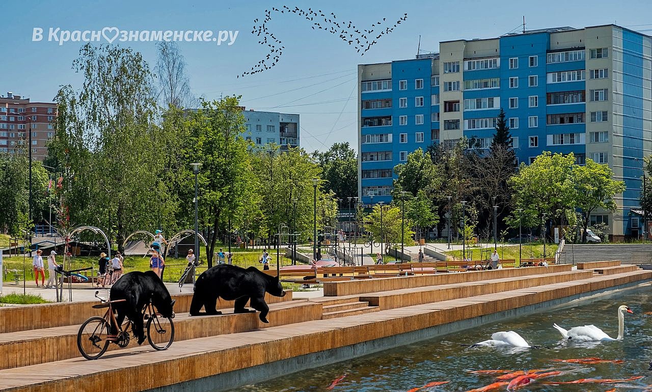 Чего только не увидишь в Краснознаменке)
