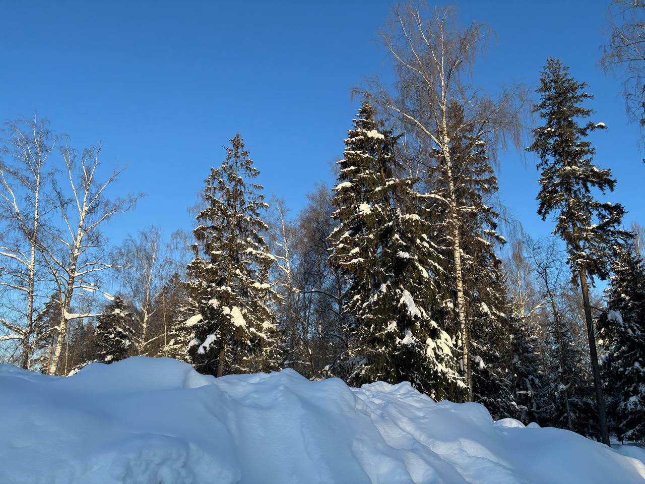 Морозное утро в Городском парке  © Парки Краснознаменска ???? t