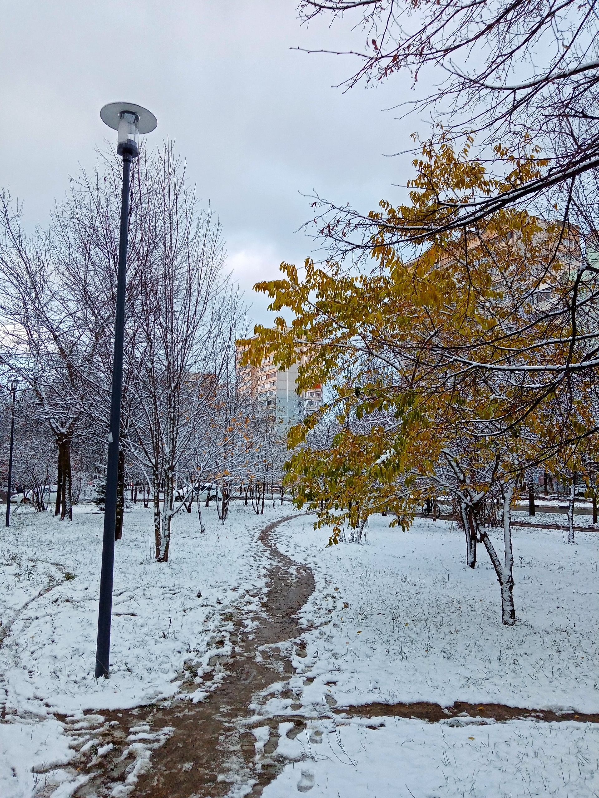 Прогулка по городу. — Краснознаменск