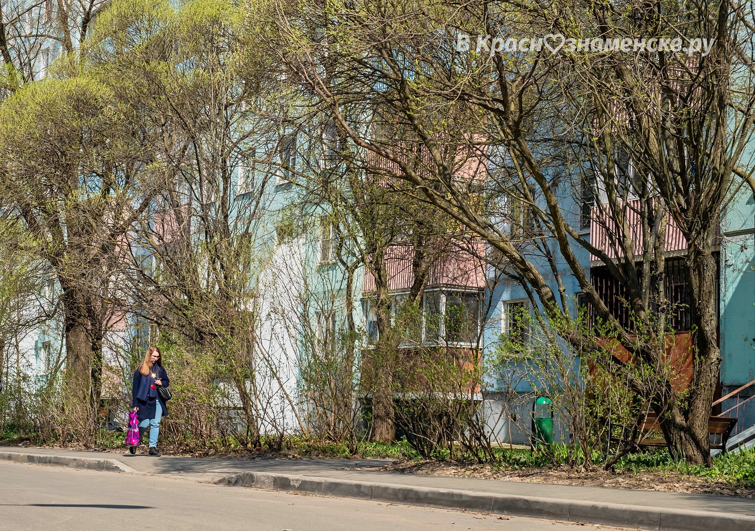 Фото 37801 — Краснознаменск