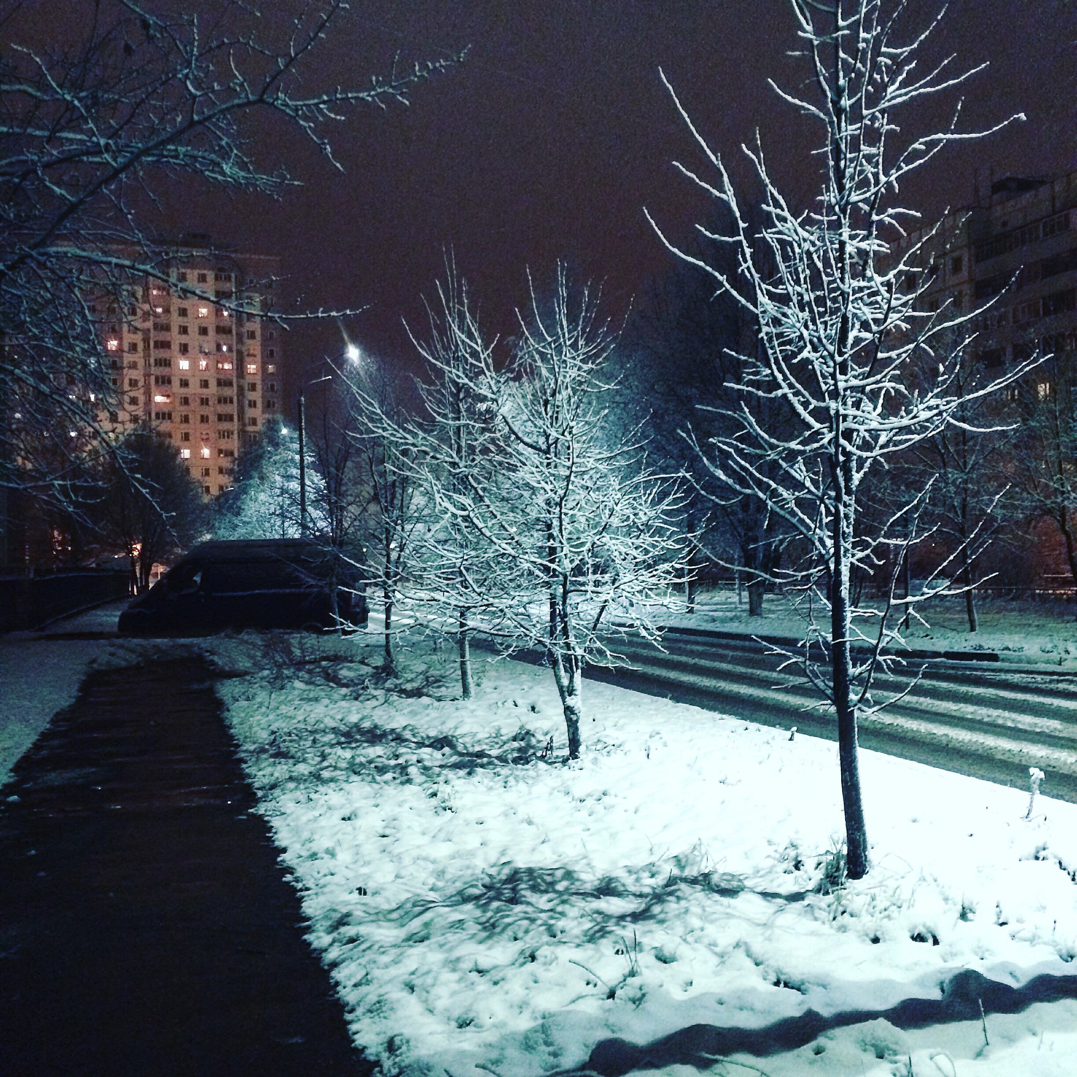 Второй заход зимы в Краснознаменске ❄️