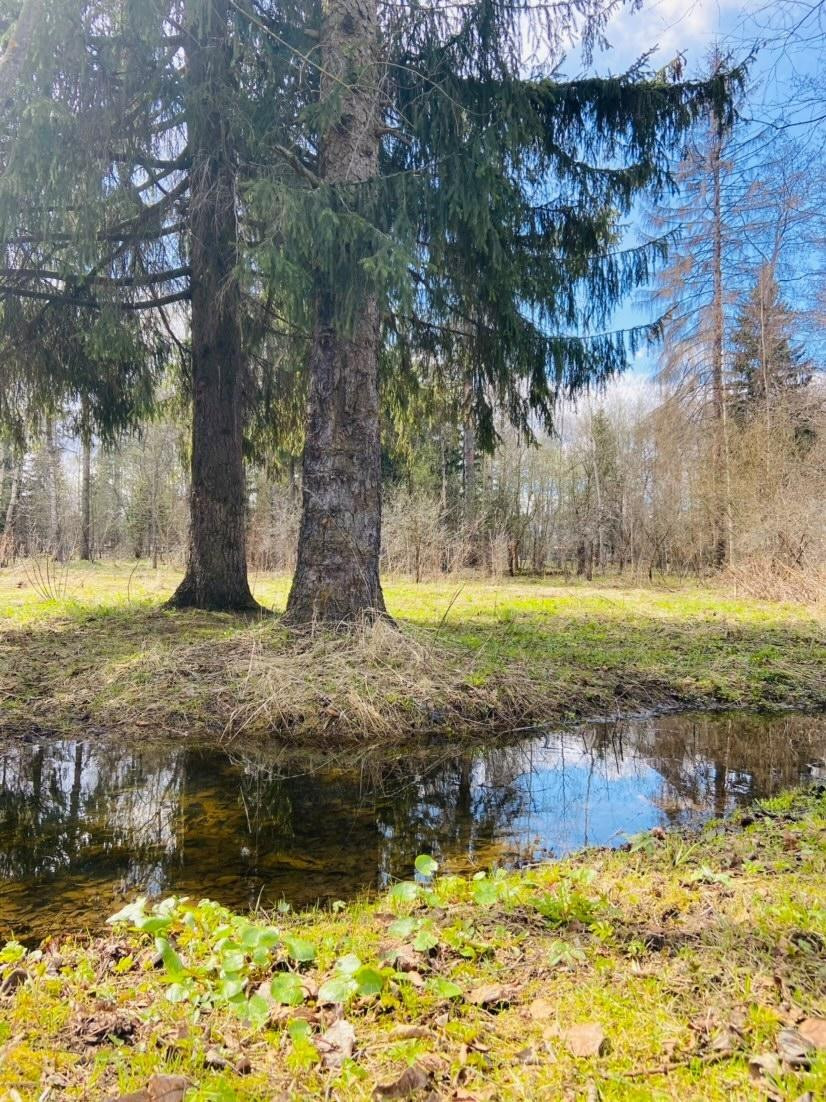 Утро в городском парке ???? sv.angel — Краснознаменск