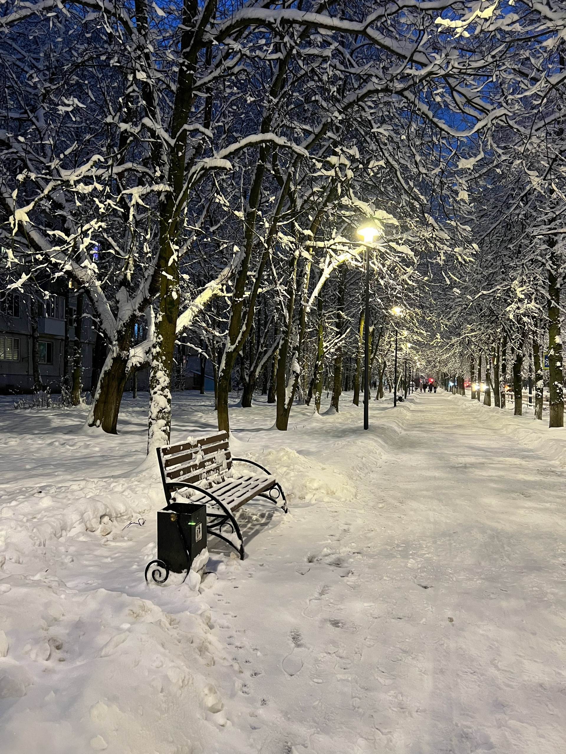 ???? Лиса Лихачева — Краснознаменск