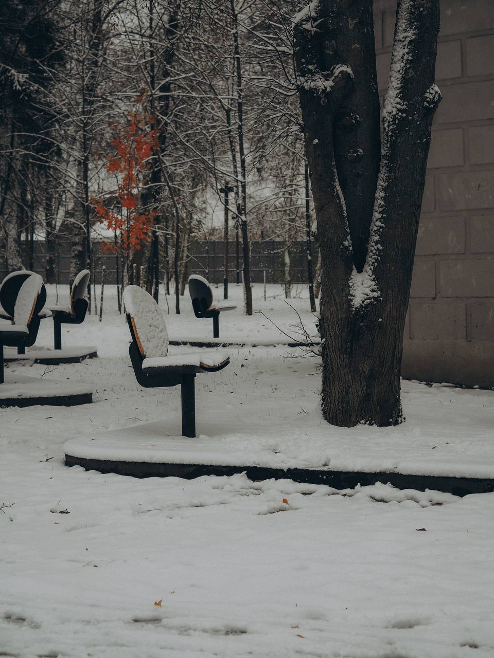 Заснеженный парк ❄️ ???? Полина — Краснознаменск