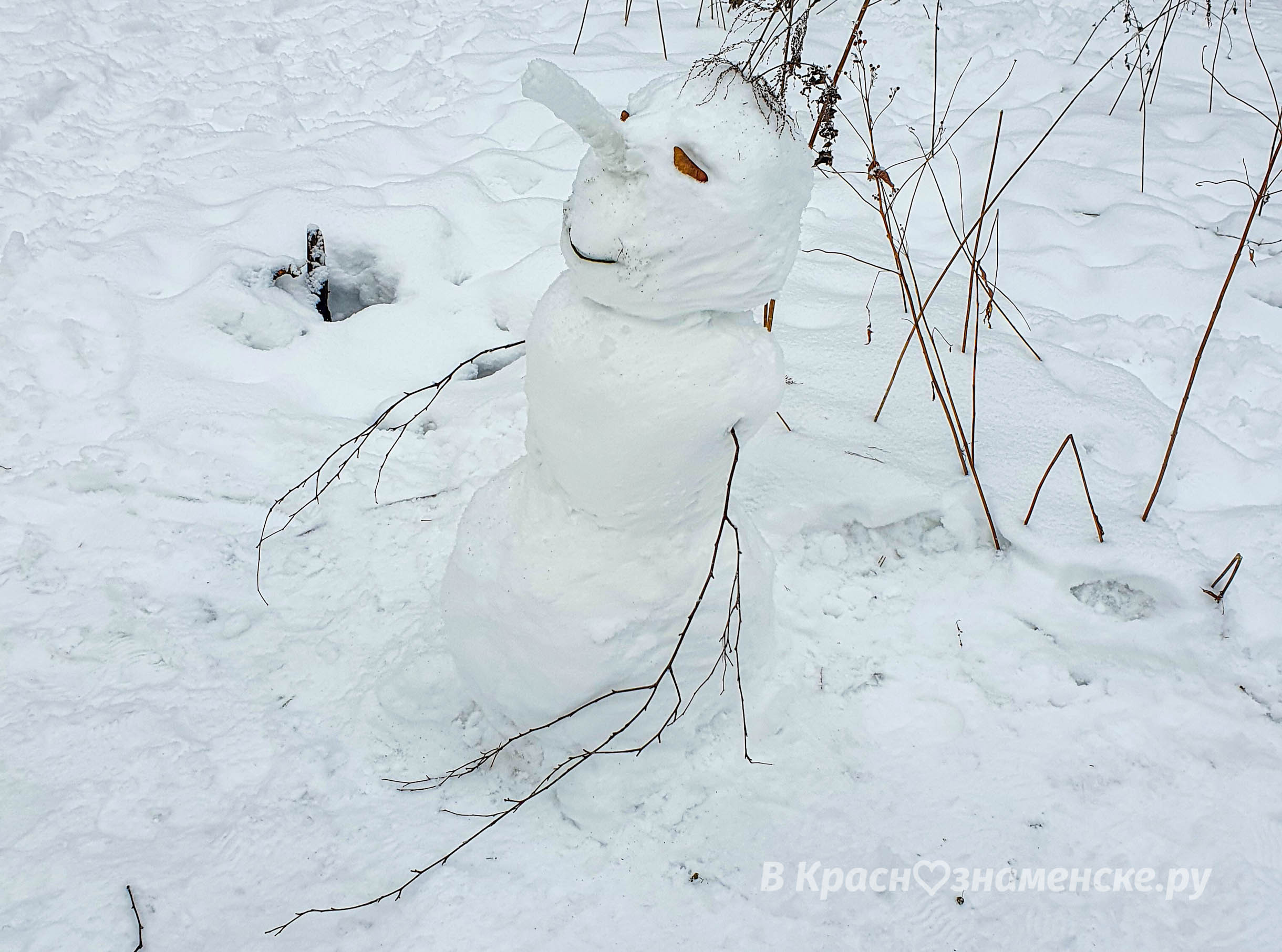 Тем временем в КГБхе ????☃️⛄️❄️ — Краснознаменск