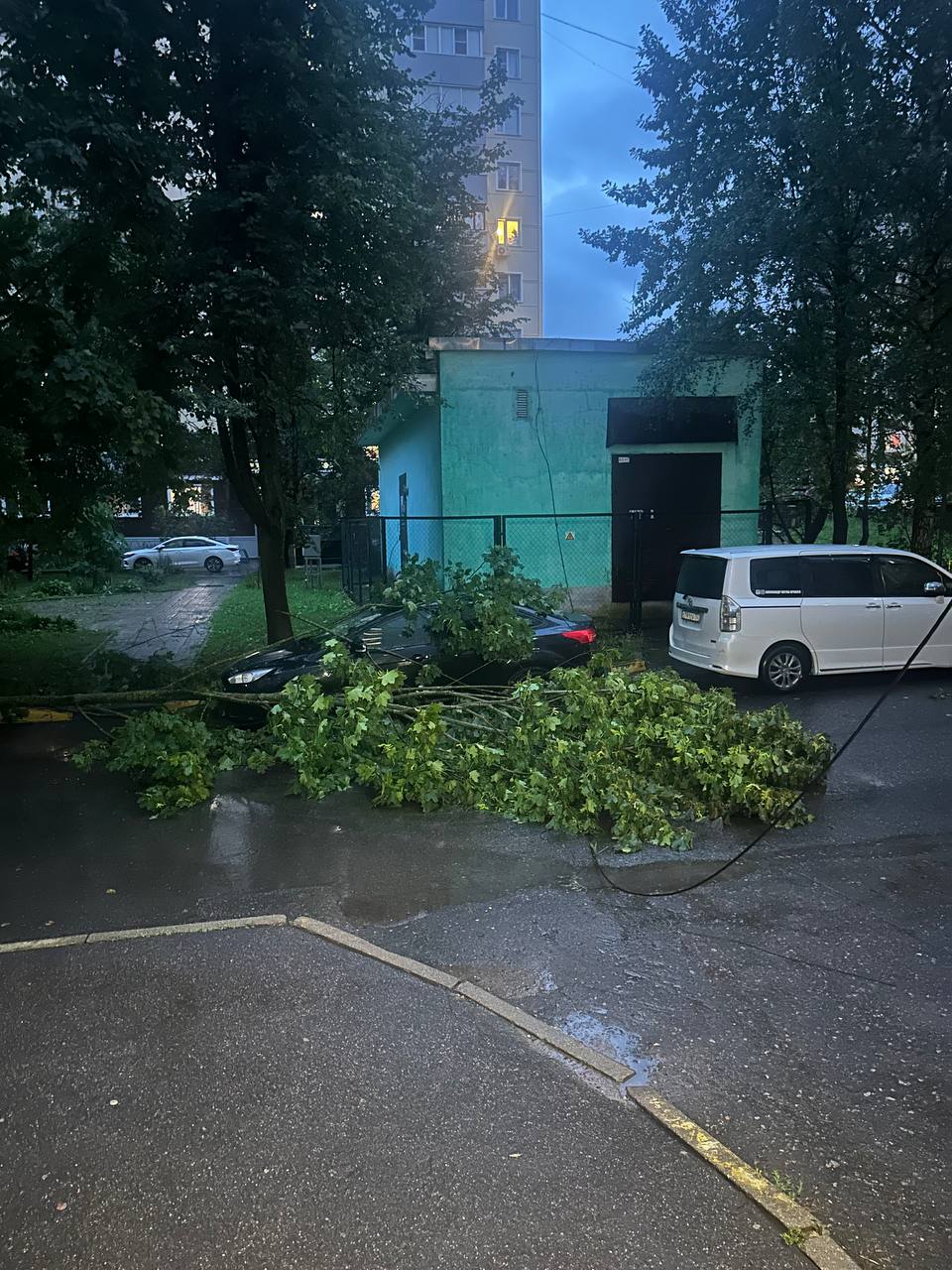 Гагарина 11, проверьте свои автомобили ‼️ (С) Ольга