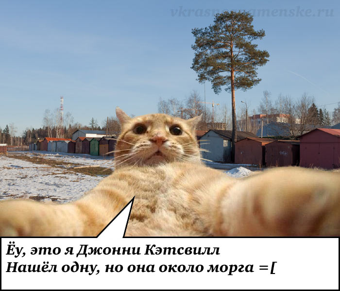 Фото 55665 — Краснознаменск
