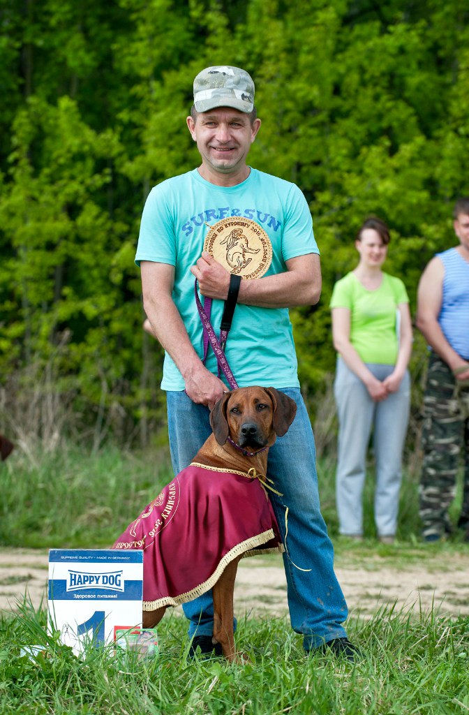 Ridge's Star ORSI Beautiful Girl - наша ОРСИ 1 место! и титул Чемпиона России по курсингу!
В двух забегах одинаково стабильный высокий результат по 177 баллов, В сумме 354 балла.