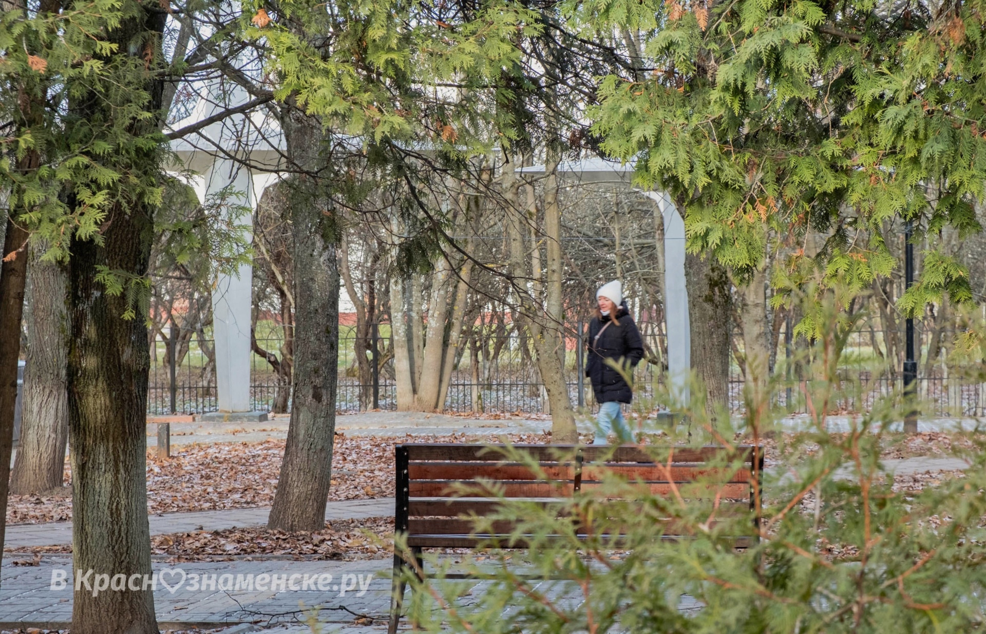 Доброе утро, Краснознаменск! Насыщенного вам четверга)