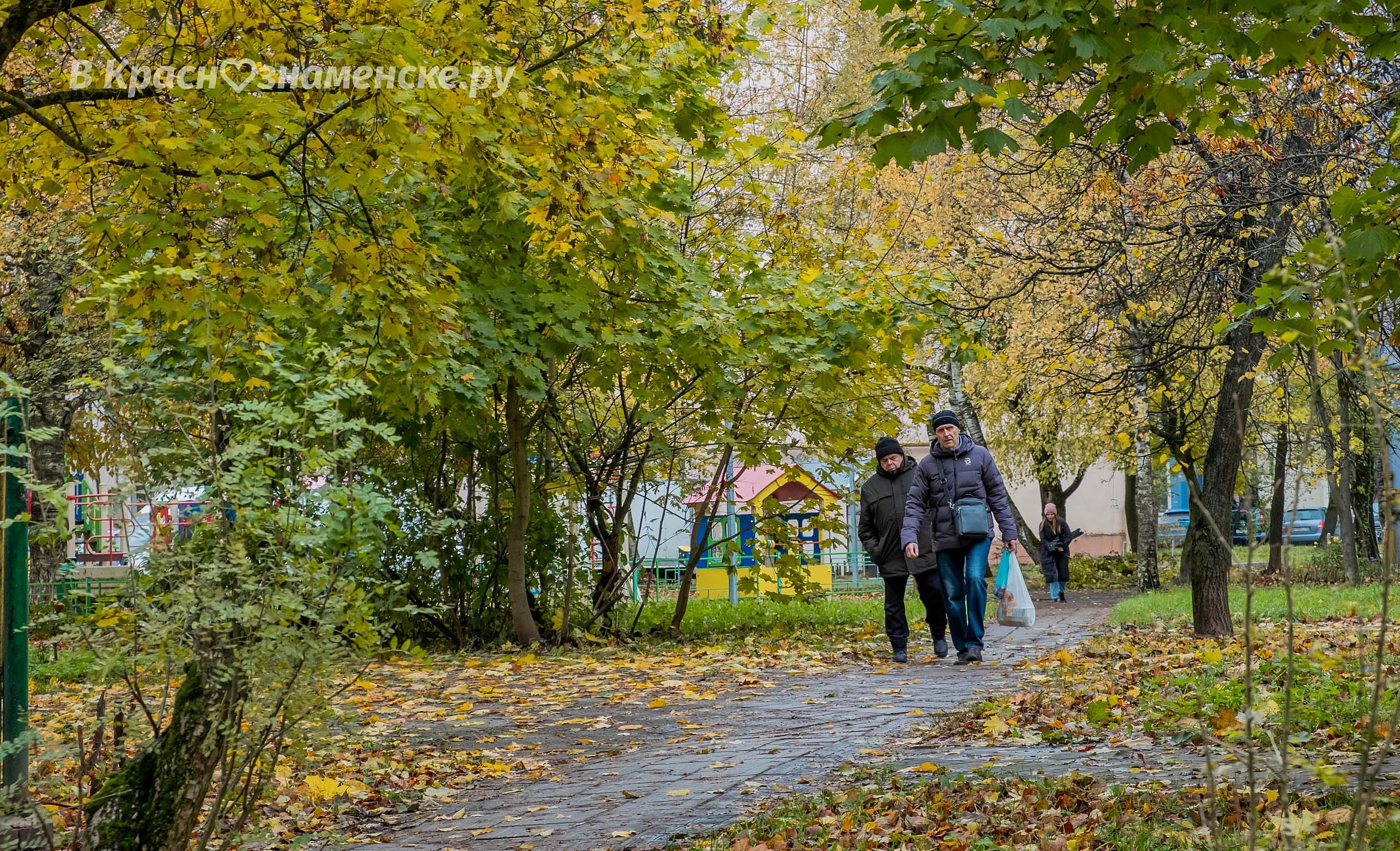 Прогулка по городу ???? — Краснознаменск