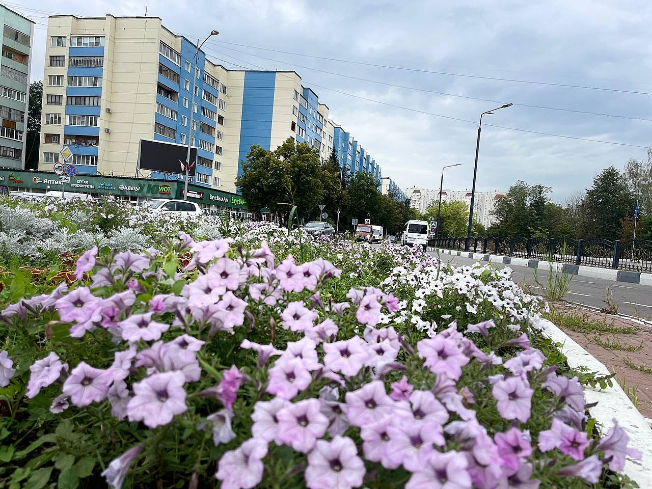 Прогулка по городу. — Краснознаменск