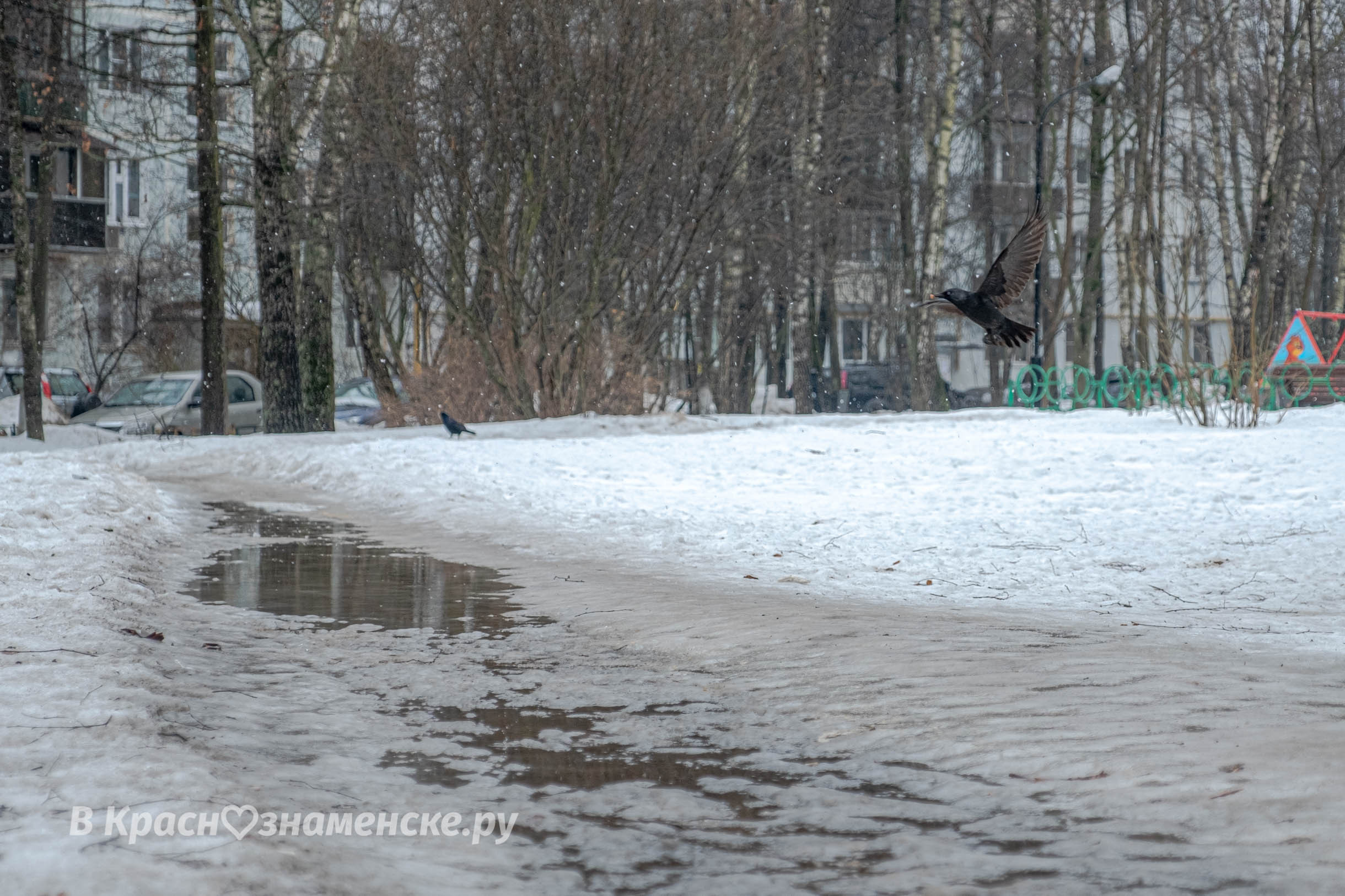 Доброе утро, Краснознаменск! Утром -1°… +1°, Снег, Давление: