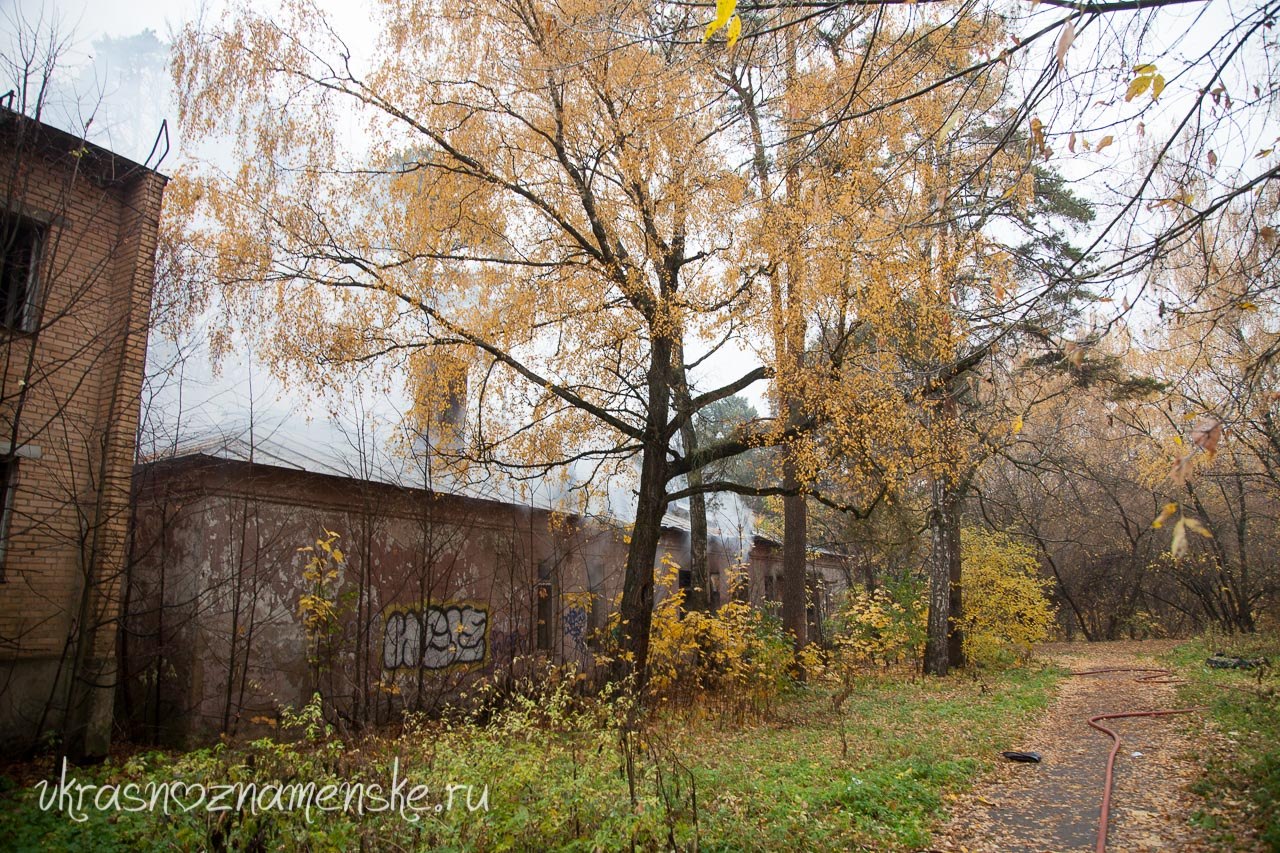 Фото 9026 — Краснознаменск