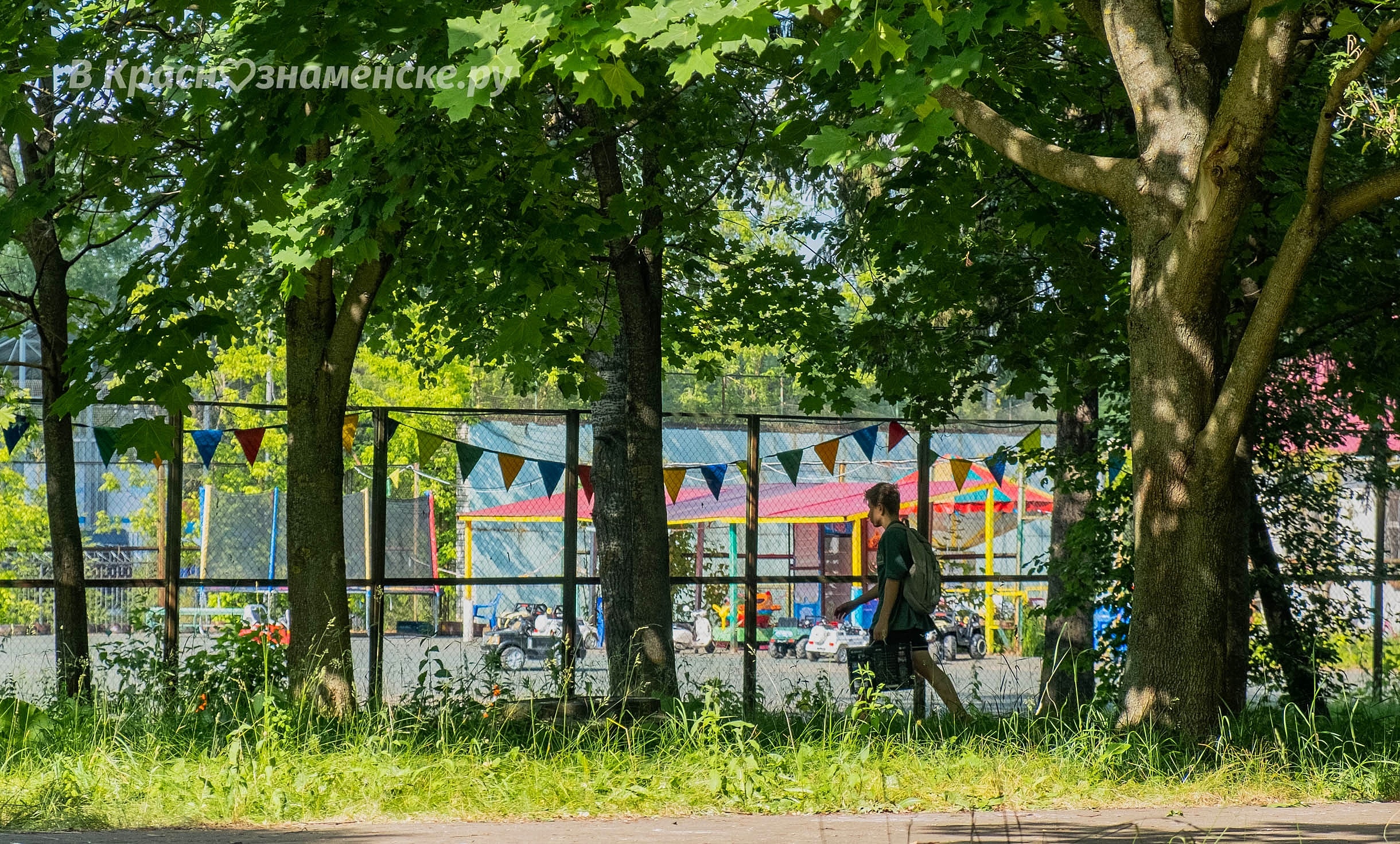 Прогулка по городу — Краснознаменск