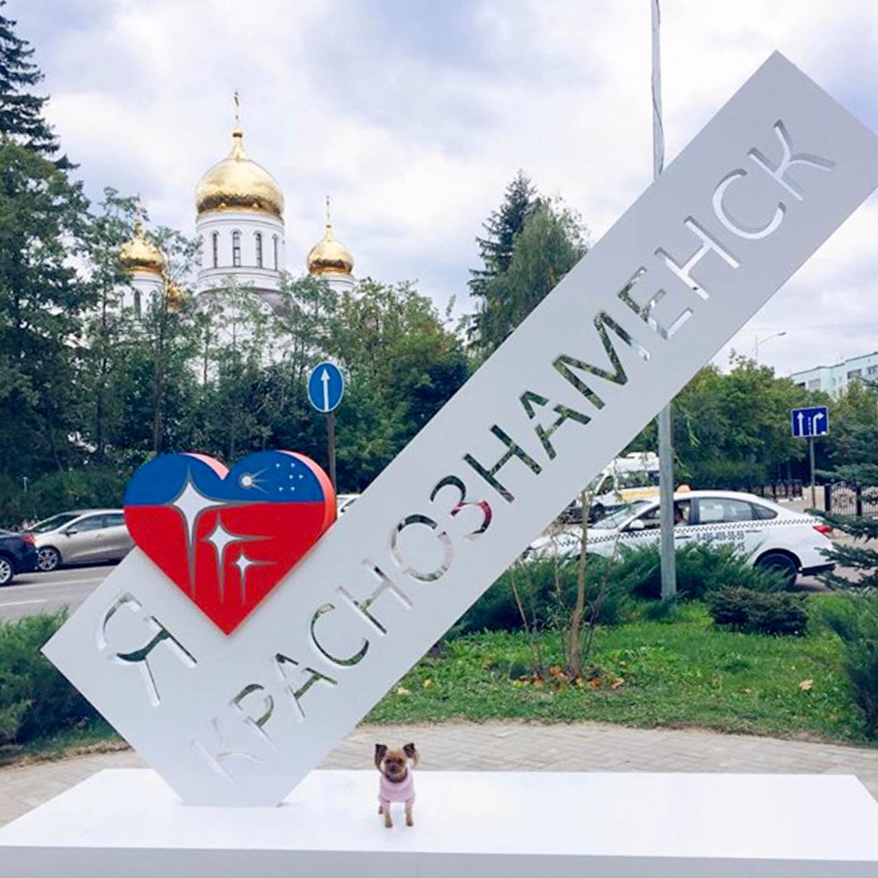 Доброе утро Краснознаменск Фото ksubilai