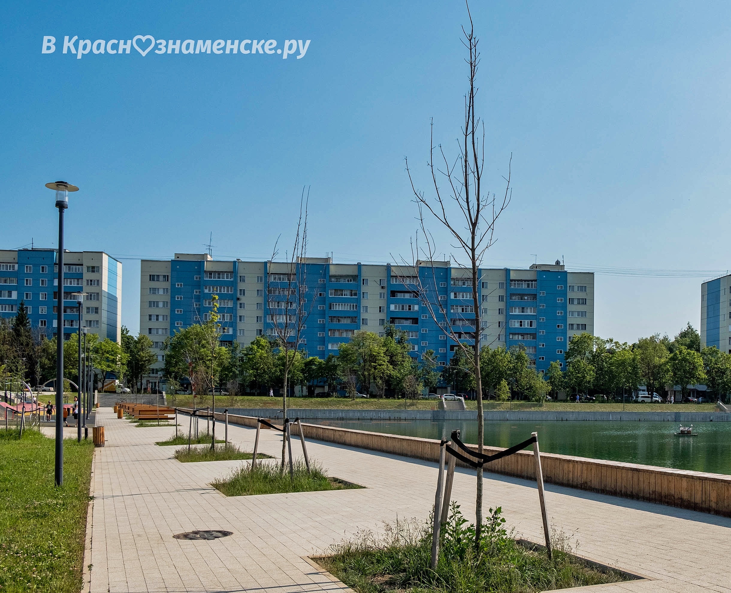 На городском озере засохли уже почти все саженцы, которые бы