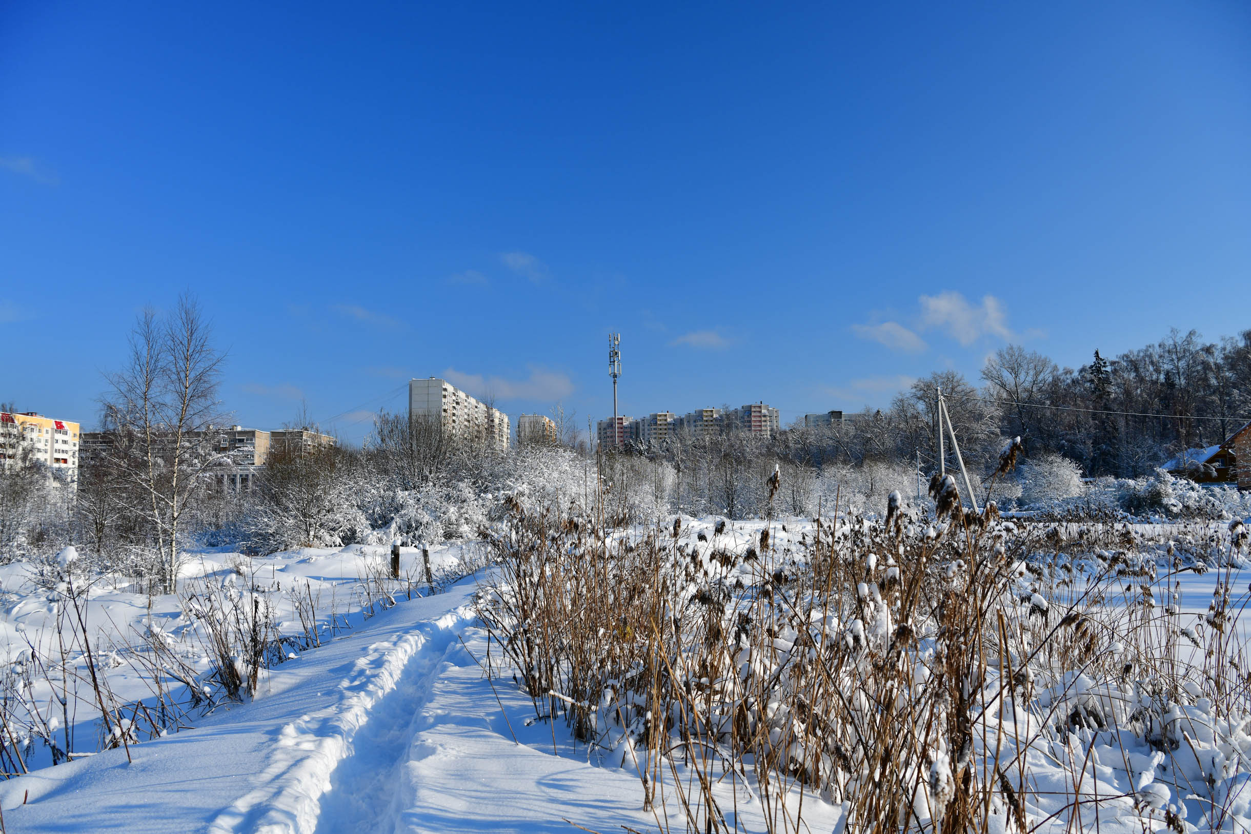 В окрестностях Краснознаменска