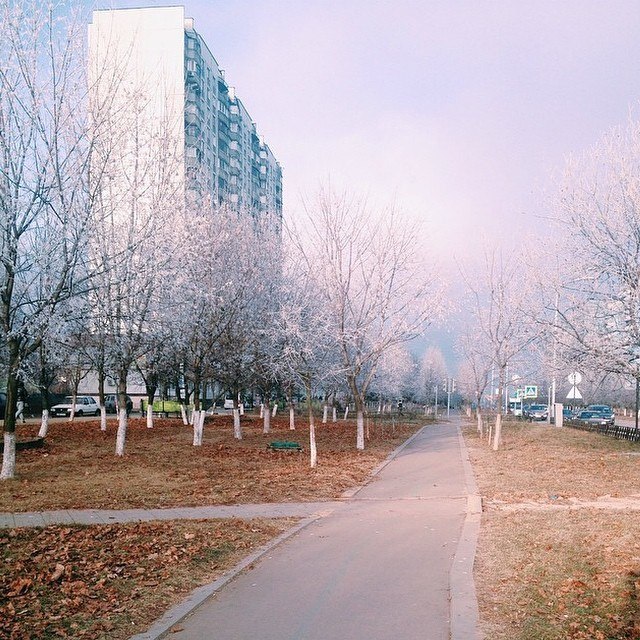 Автор фотографии vscokrasnoznamensk — Краснознаменск