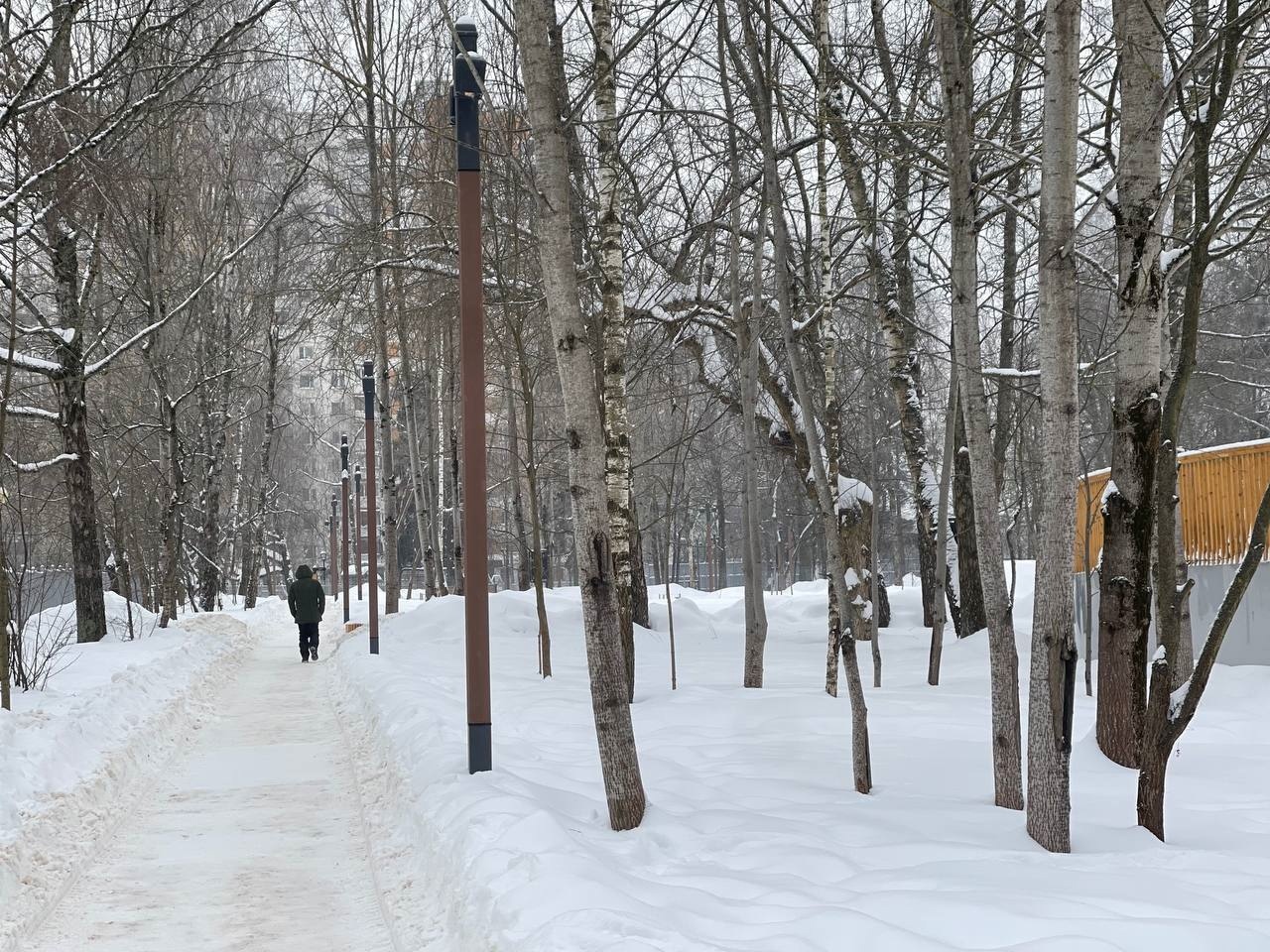 Доброе утро, Краснознаменск! Прекрасного дня и хорошего наст