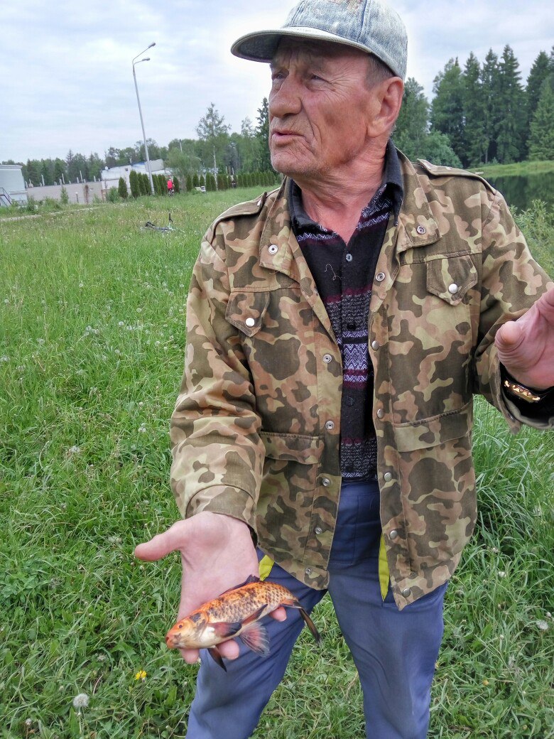 В новом пруду живёт золотая рыбка