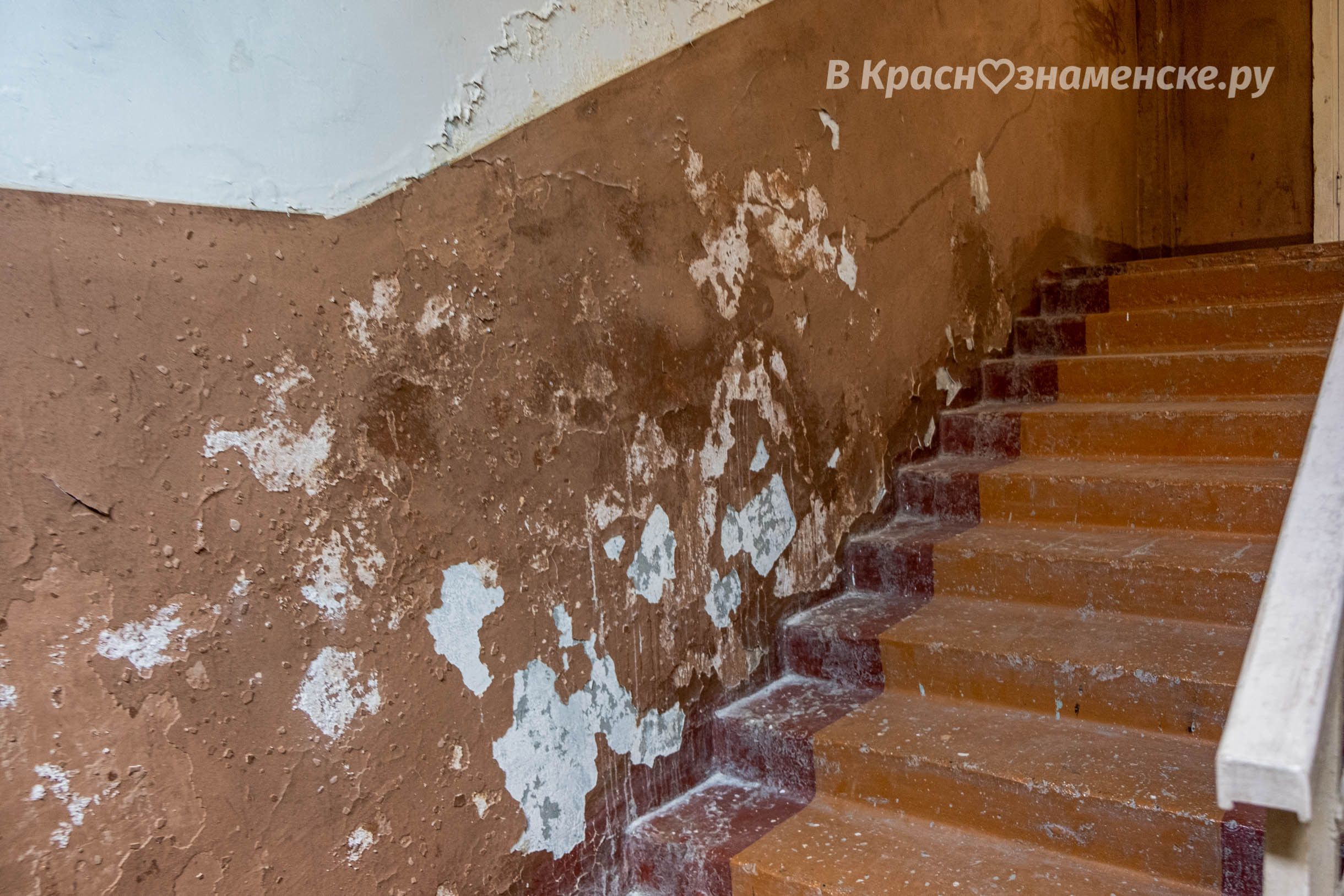 Фото 33722 — Краснознаменск