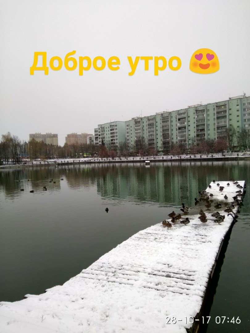 VK -27992616_294724