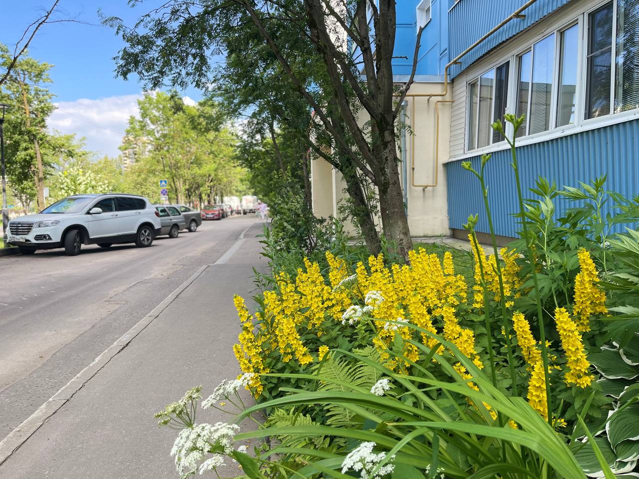 Прогулка по городу.
