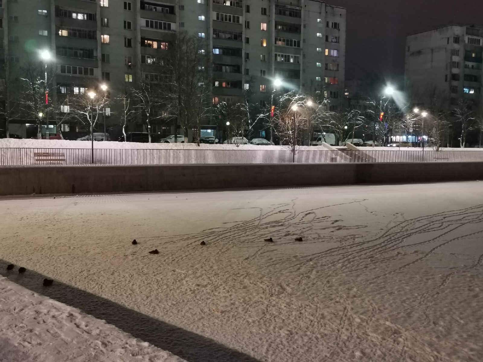 На озере замёрзла вода. Нет ни домика, ни еды, ни открытой в