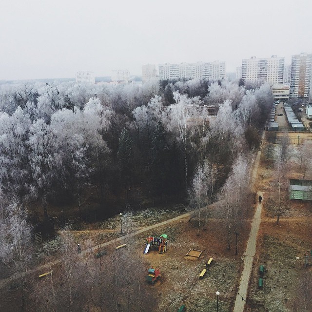 Автор фотографии kristina_kenga — Краснознаменск