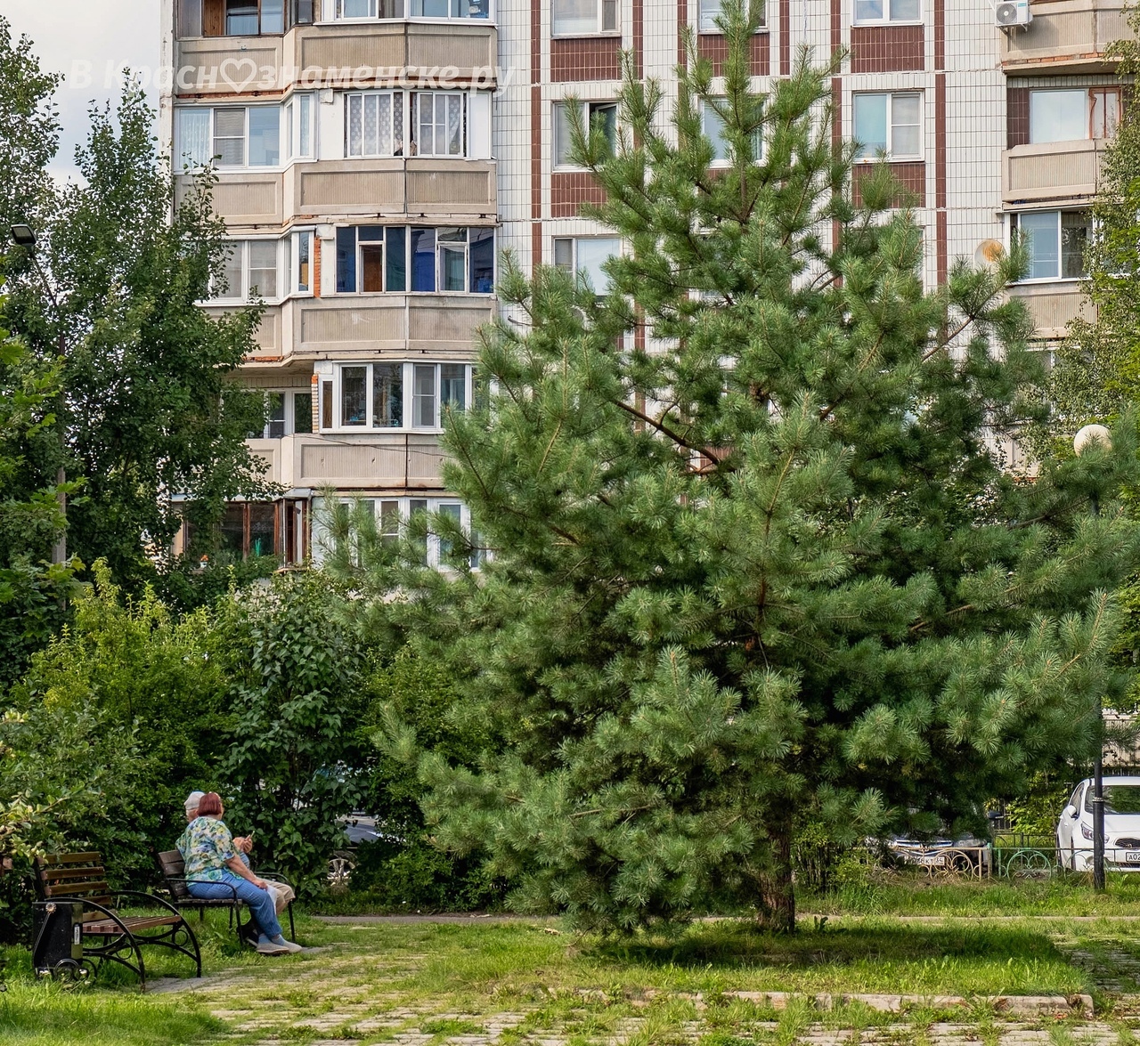 Доброе утро, Краснознаменск! Тёплого и приятного вам дня!)