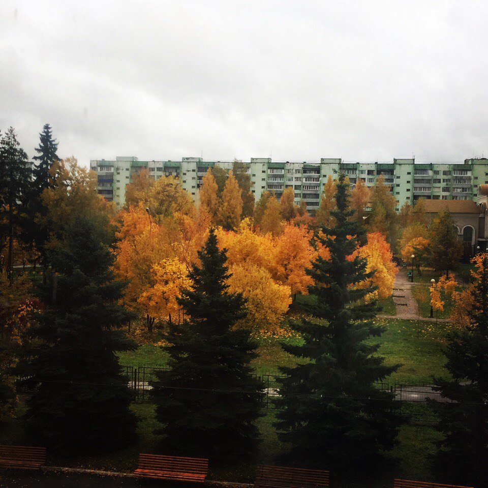 Фото 31345 — Краснознаменск