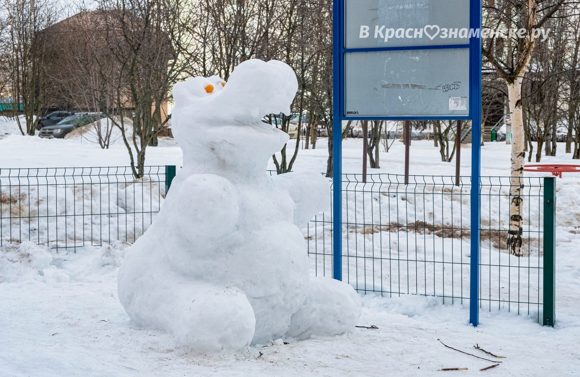 Вот такого славного бегемота можно встретить во дворе Победы
