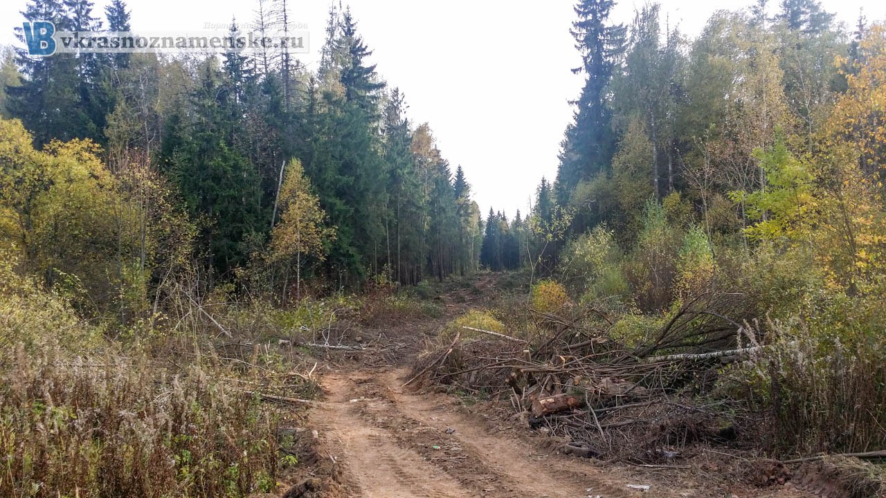 Быстрое меню — Краснознаменск