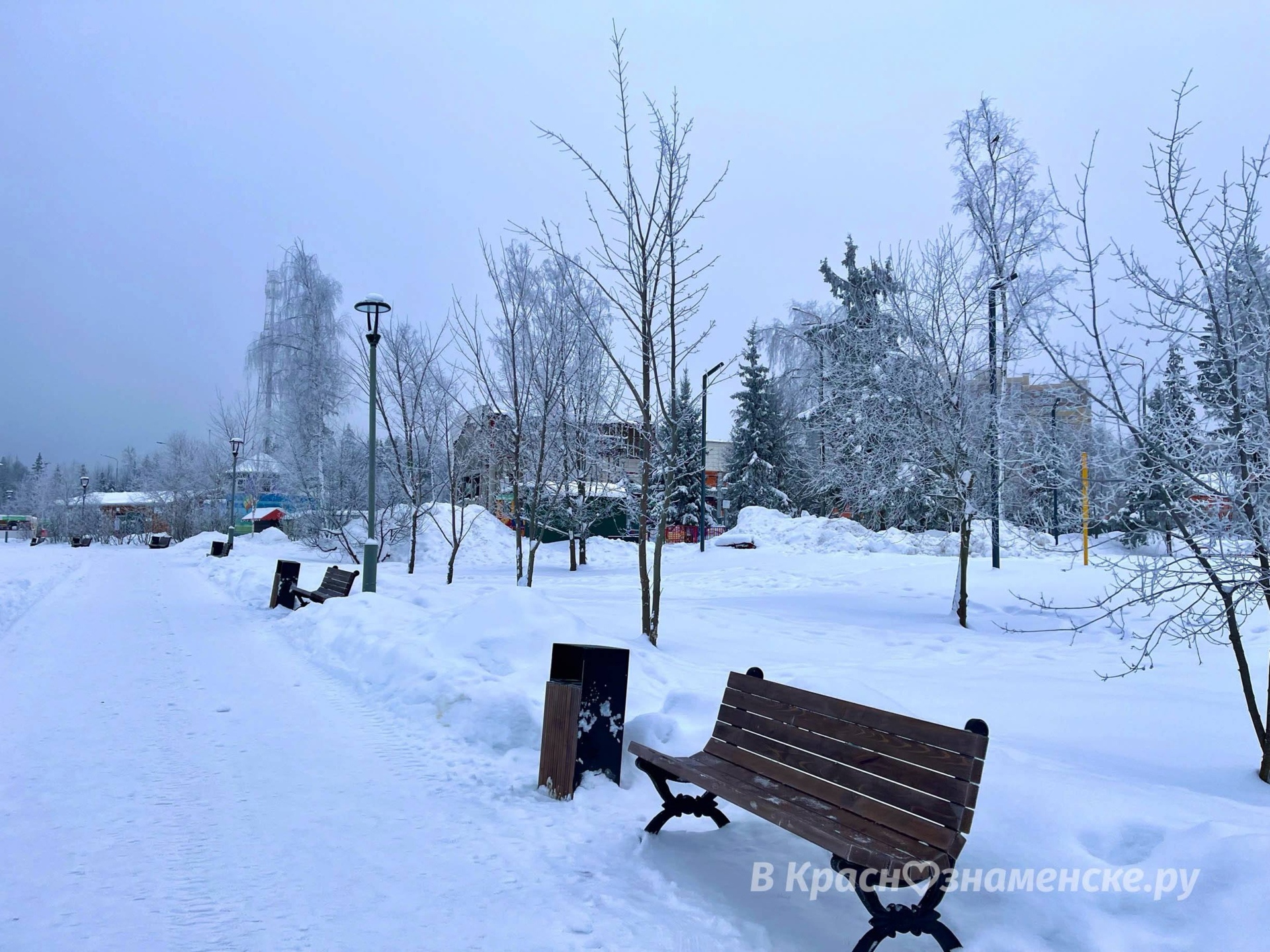 Прогулка по Городскому парку  © в Краснознаменске.ру Мы в te