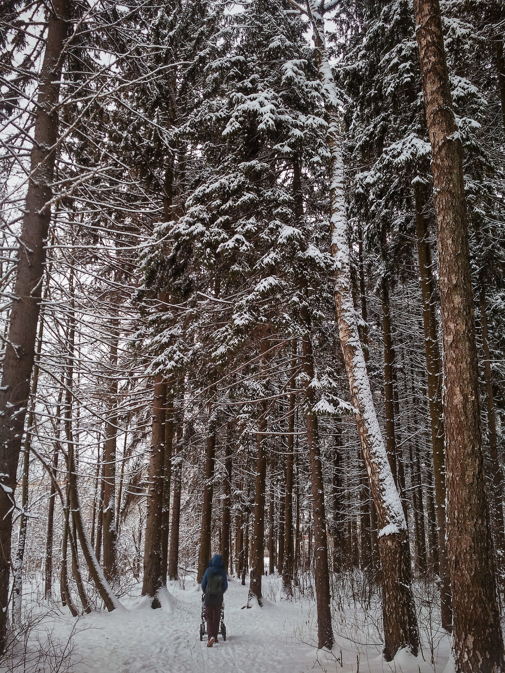 Волшебное время ❄️ Фото Мария Ильяшенко