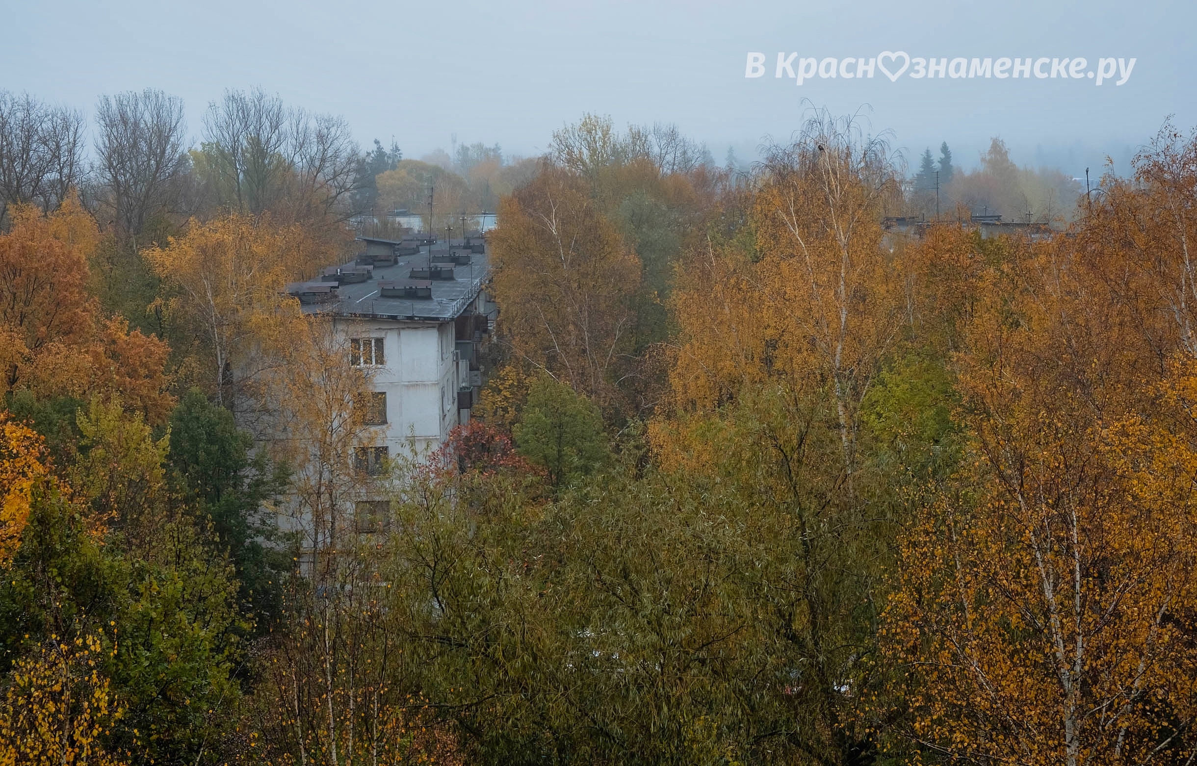 Фото 12086 — Краснознаменск