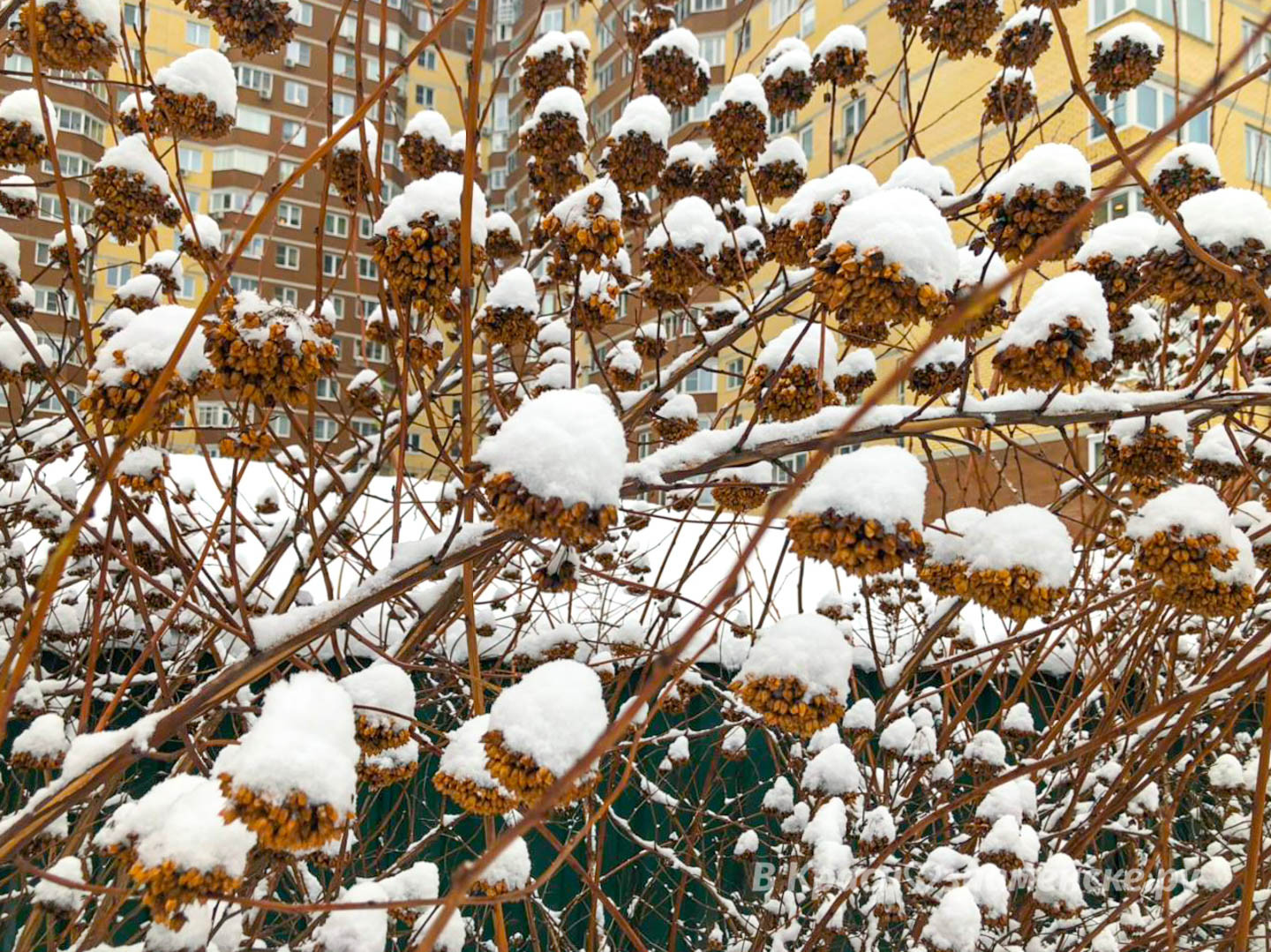 Доброе утро, Краснознаменск! Утром, +1°…+2° Небольшой снег,