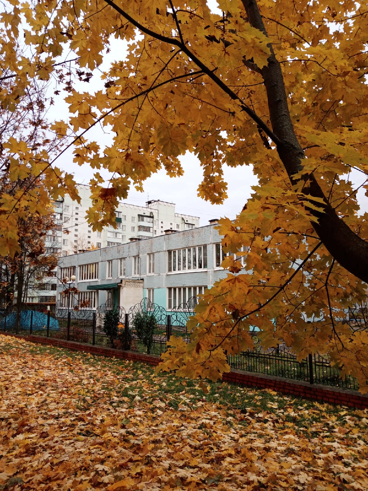 ???? Наталья Меняйлова — Краснознаменск