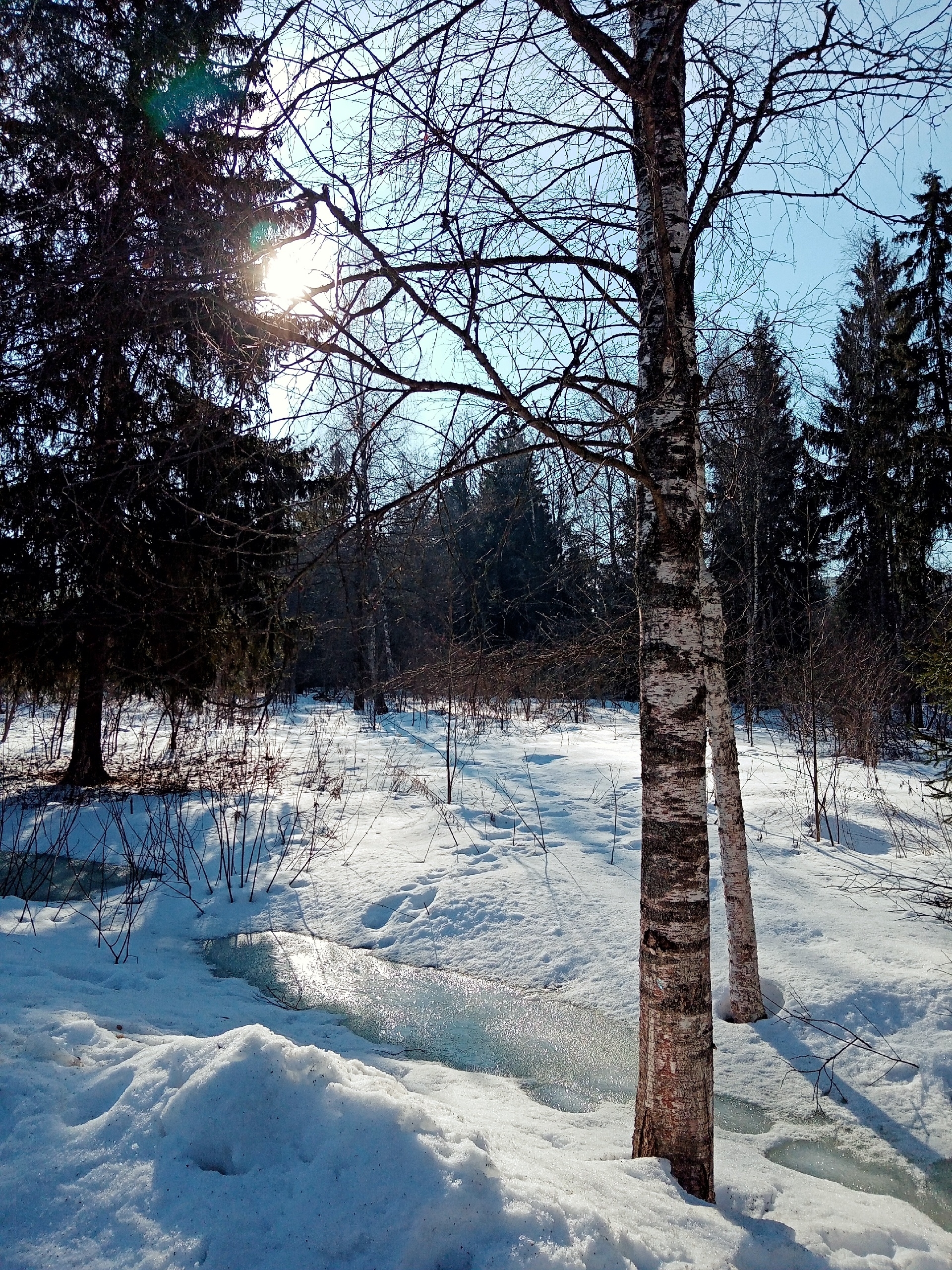 Парк Краснознаменска.