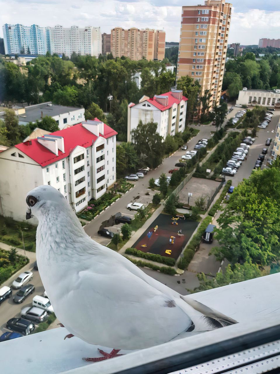 Фото 16404 — Краснознаменск