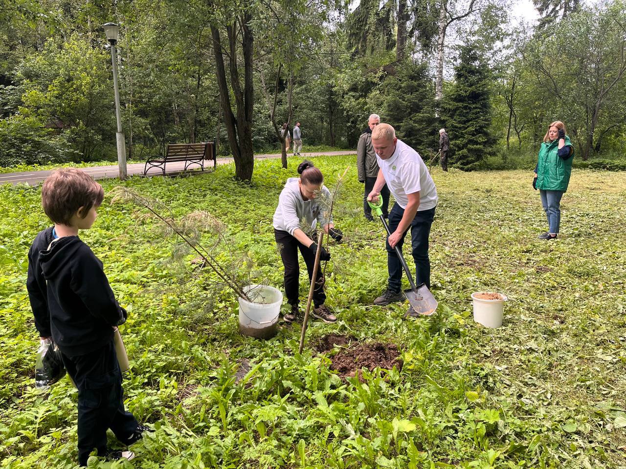 В городском парке новые зеленые друзья  Сегодня сотрудники п
