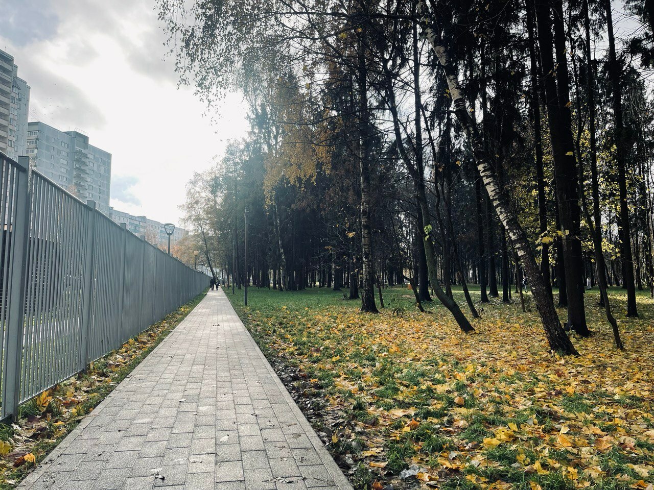 Доброе утро, Краснознаменск!