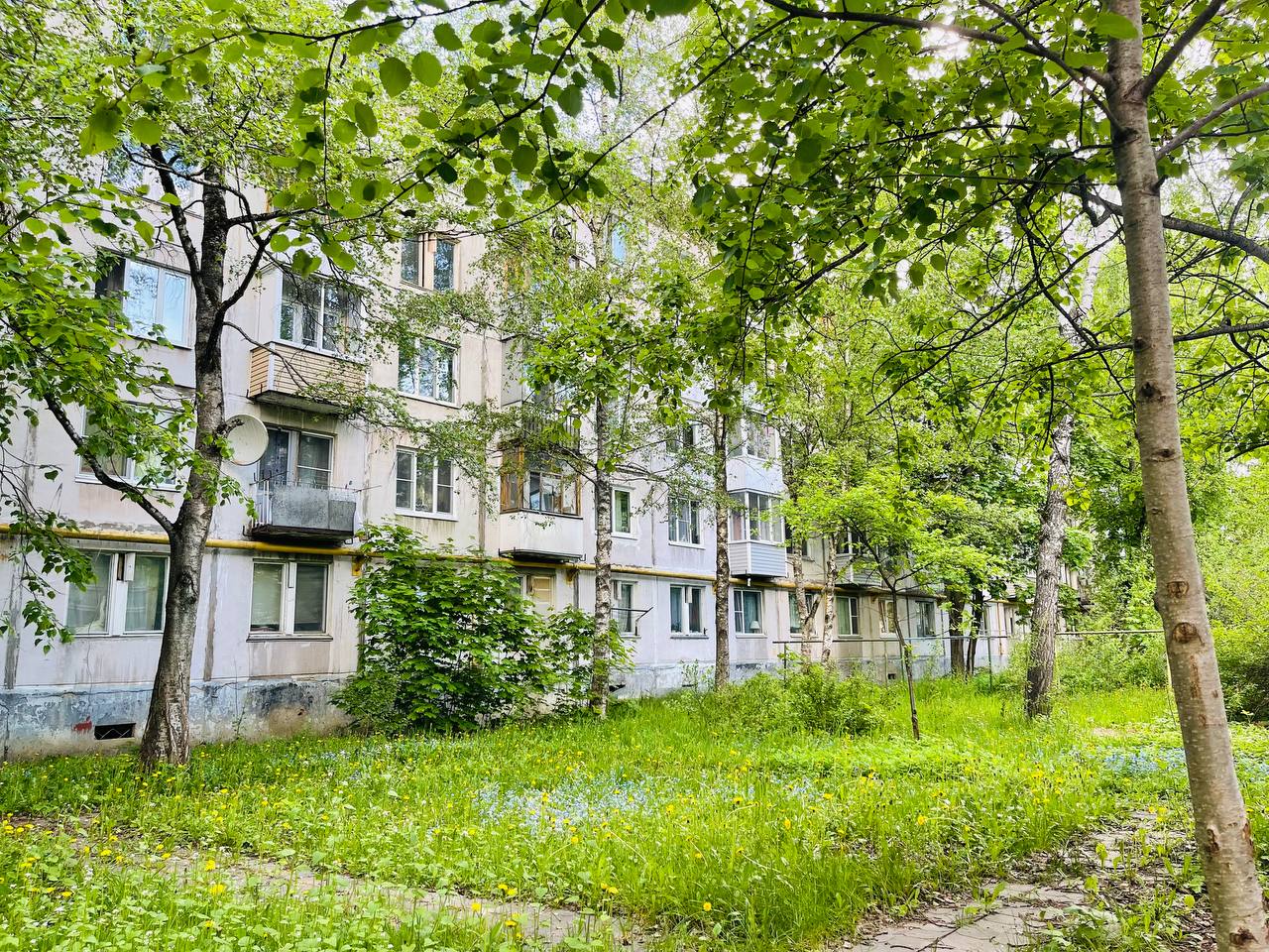 Майская прогулка по городу — Краснознаменск