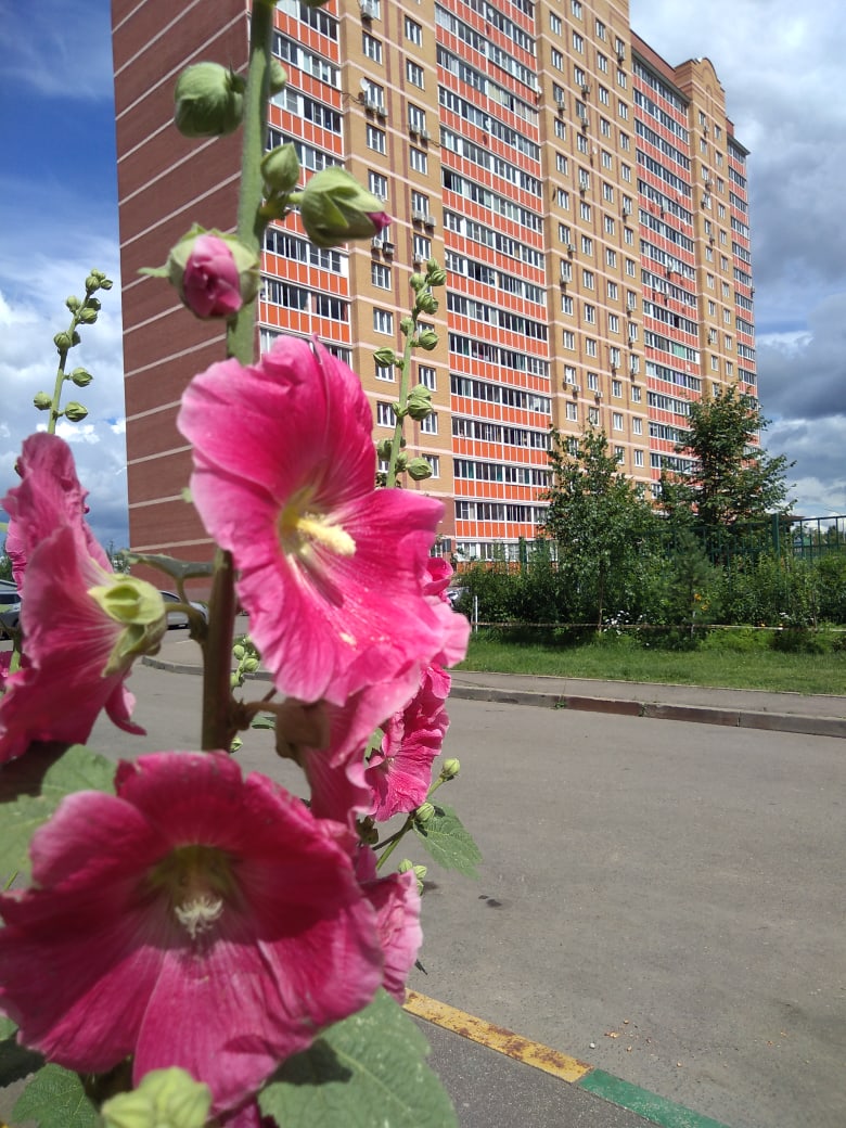 Улица Строителей и ул. Лесная. ???? Наталья Меняйлова — Краснознаменск