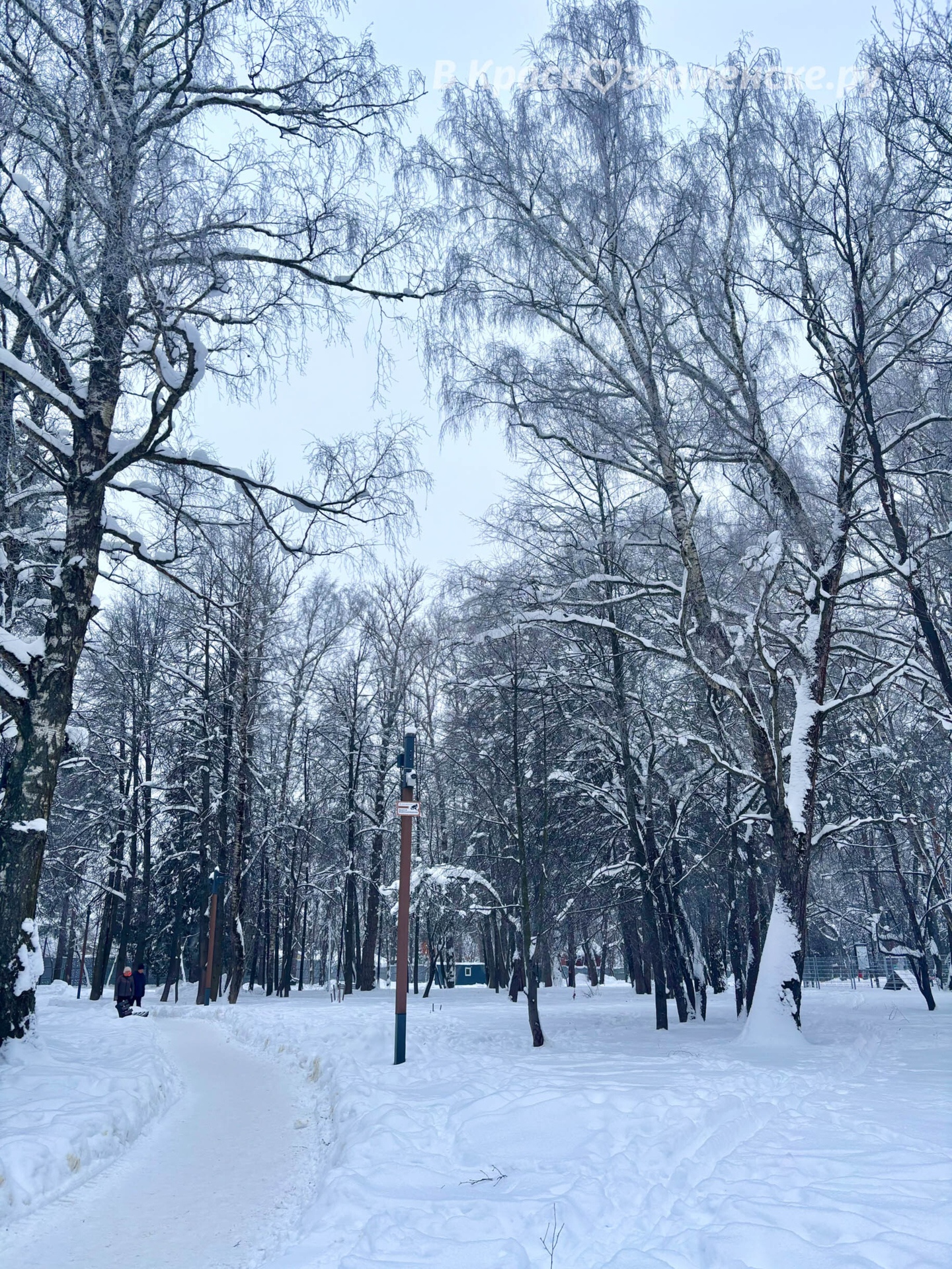 «Волшебство зимы заключается в том, что она заставляет нас з