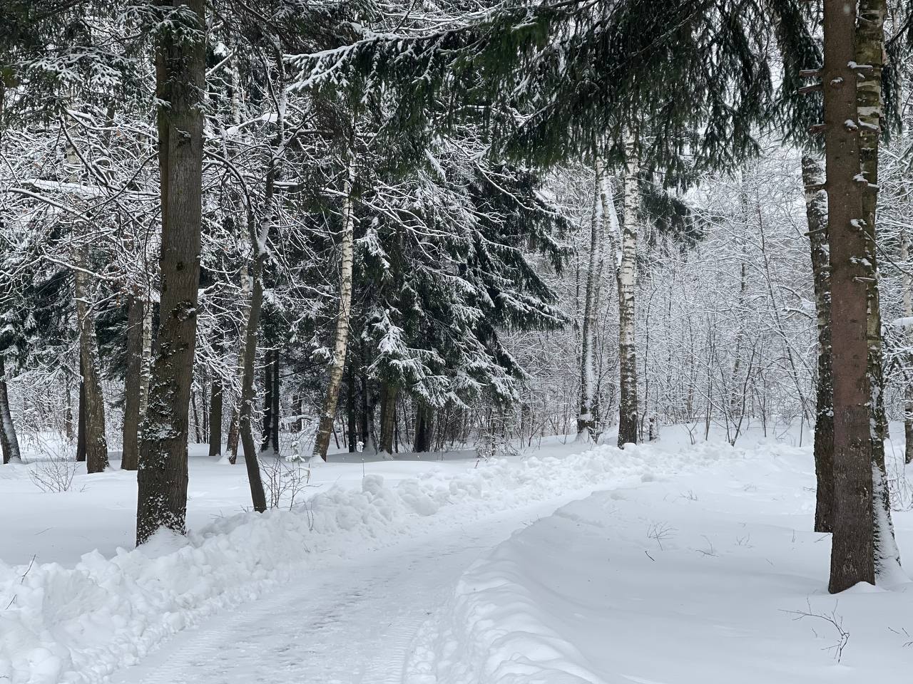 Прогулка по городскому парку — Краснознаменск