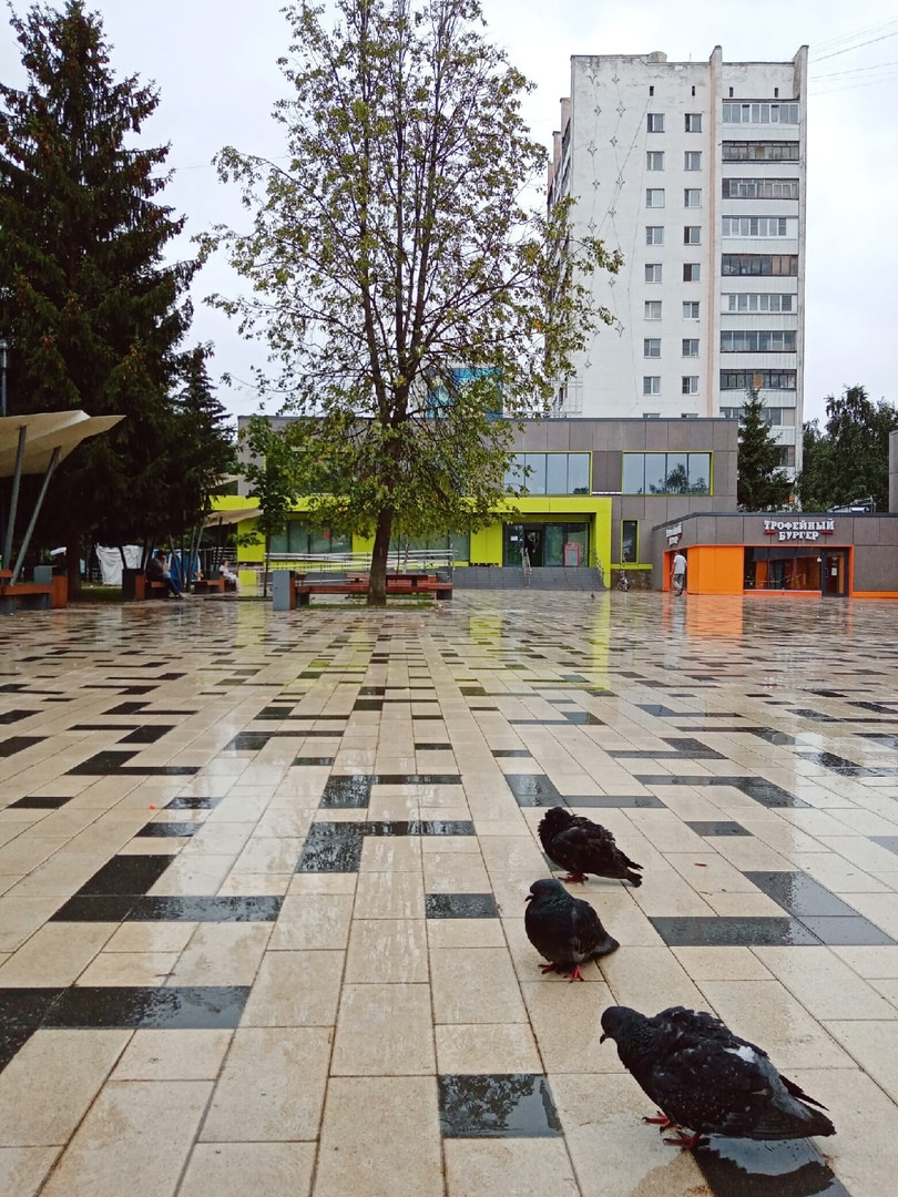???? Наталья Меняйлова — Краснознаменск